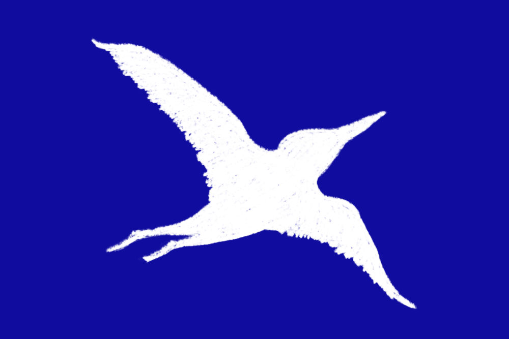 pajaro-fondo azul