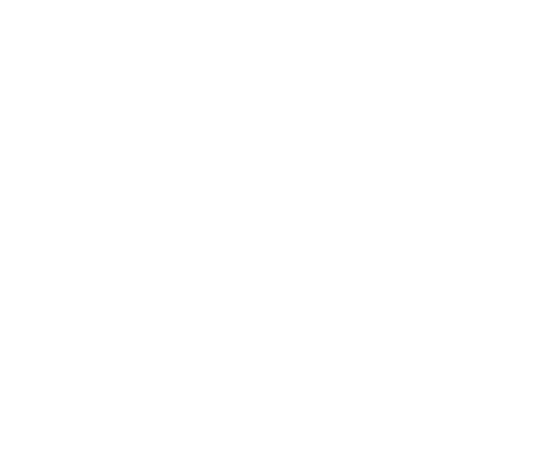 pajaro